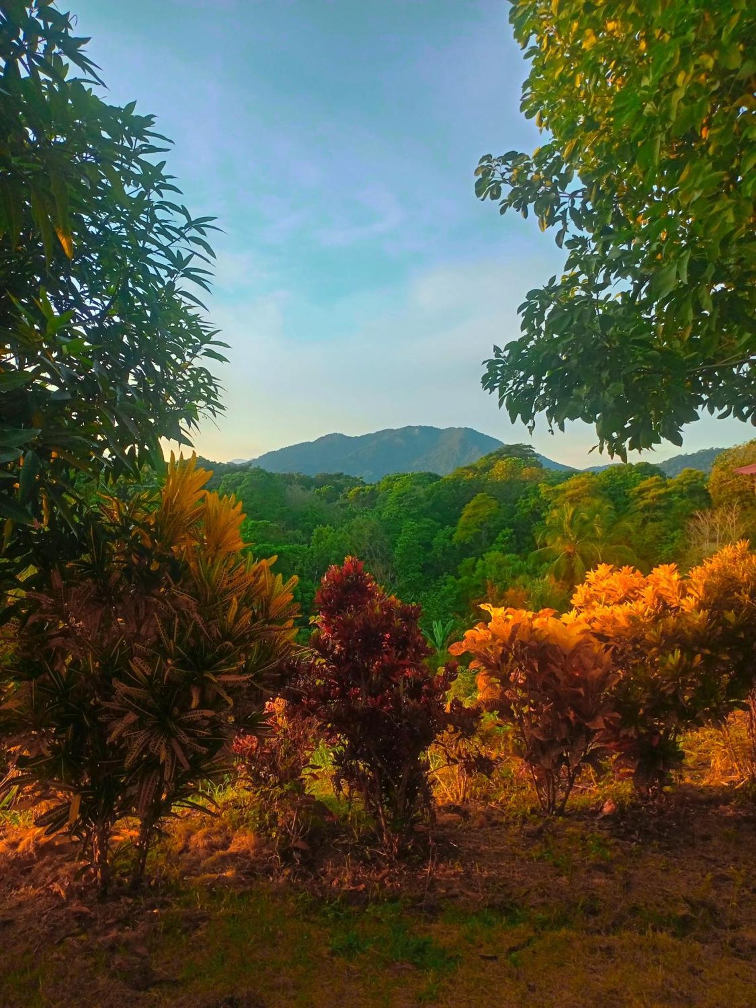 Casa Tolosa Tayrona, Los Cocos La Poza 외부 사진